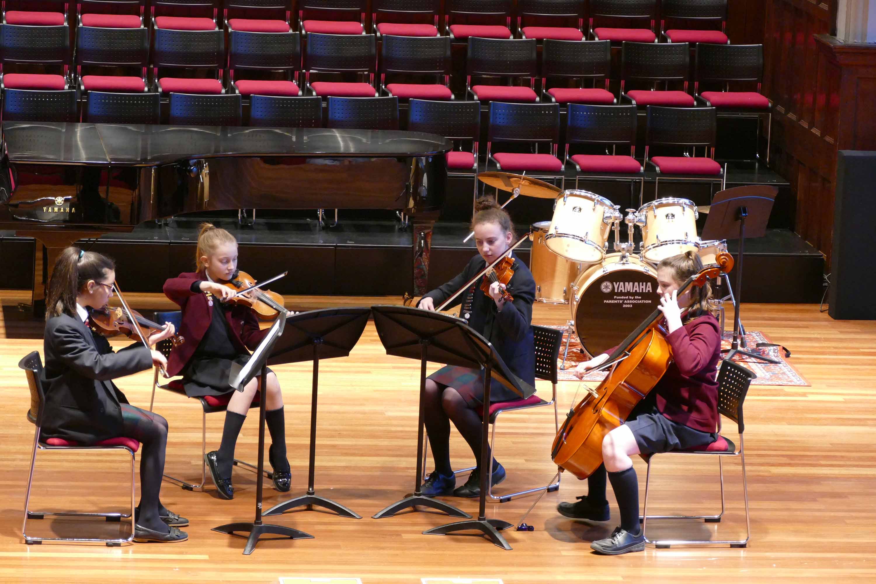 String Chamber Workshop and Concert - 2nd February 2018
